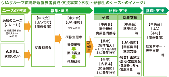 〈JAグループ広島新規就農者育成・支援事業（仮称）～研修生のケース～のイメージ〉