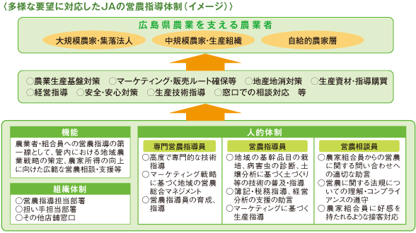 〈多様な要望に対応したJAの営農指導体制（イメージ）〉