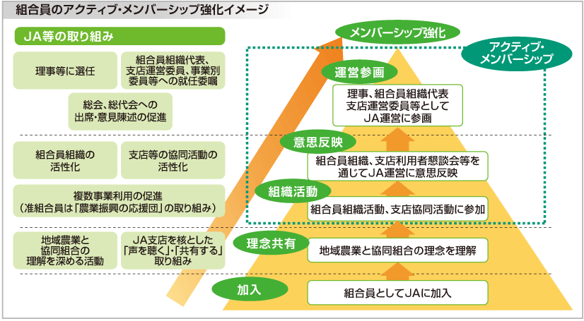 組合員のアクティブ・メンバーシップ強化イメージ