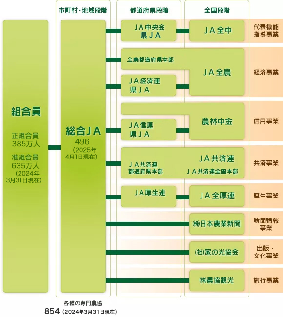 協同組合 組織図