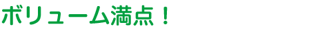 ボリューム満点！