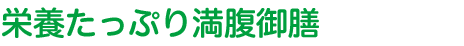 栄養たっぷり満腹御膳