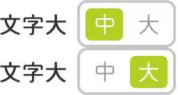 文字大・小