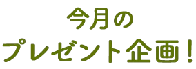 今月のプレゼント企画