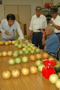 広島北部・梨査定会1