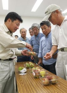 南部・江田島イチジクが出荷会議