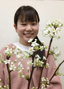 南部・「世羅なし」の花が市場で開花