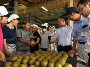 南部・世羅なし出荷開始