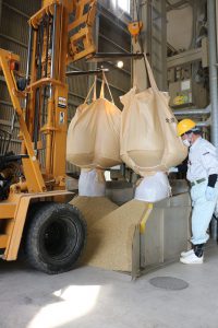 庄原・飼料用米収穫開始