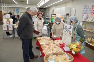 広島市・深川パンジー販売開始