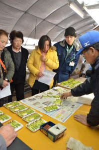 広島市・湯来町農事研究会タラの芽目合わせ講習会