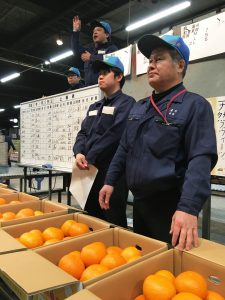 南部・「甘夏」が出荷開始