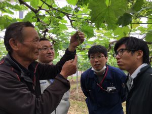 南部・省エネ加温で生育堅調