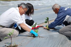 広島北部・体験農園「実来生」開園